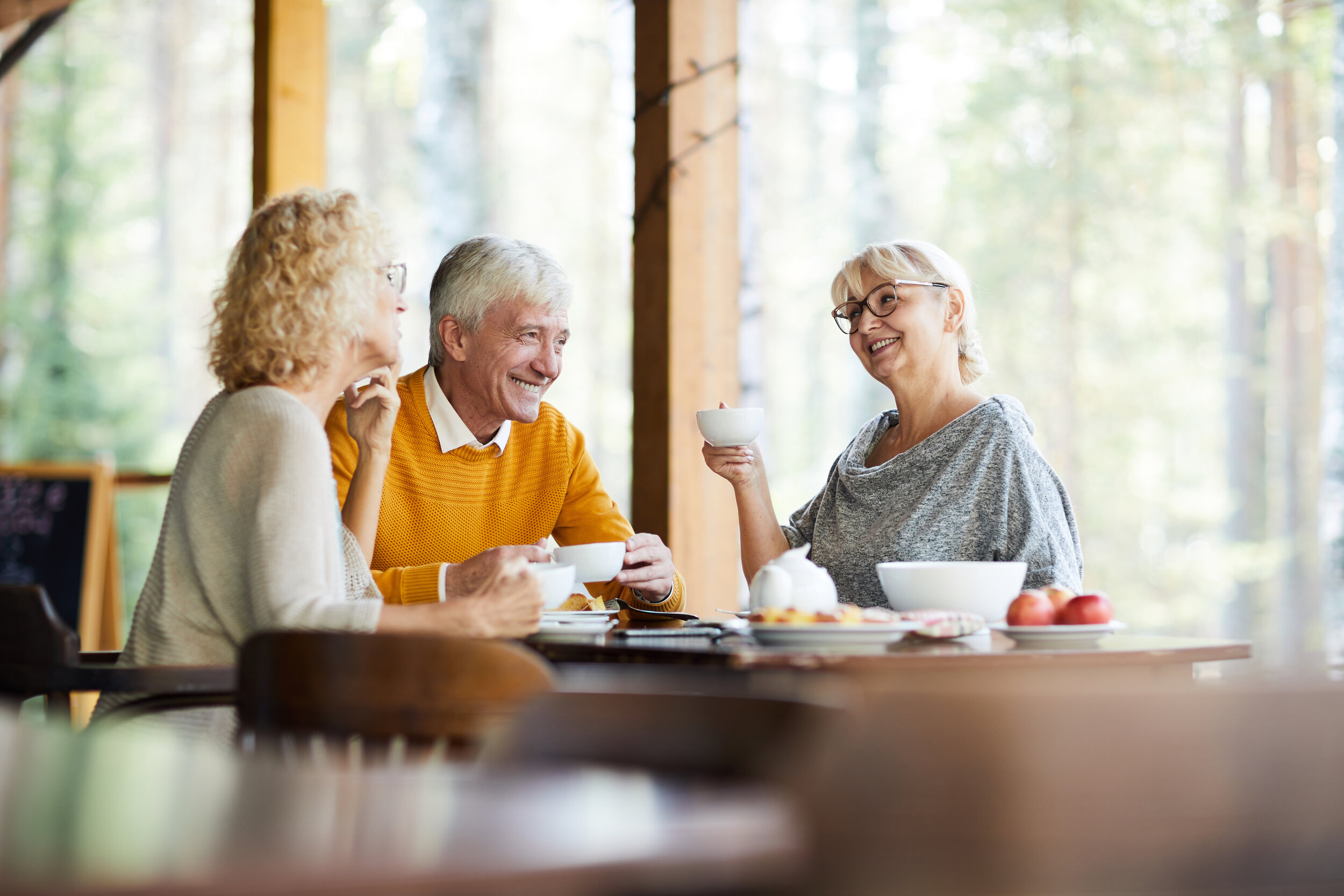 Gathering of senior friends